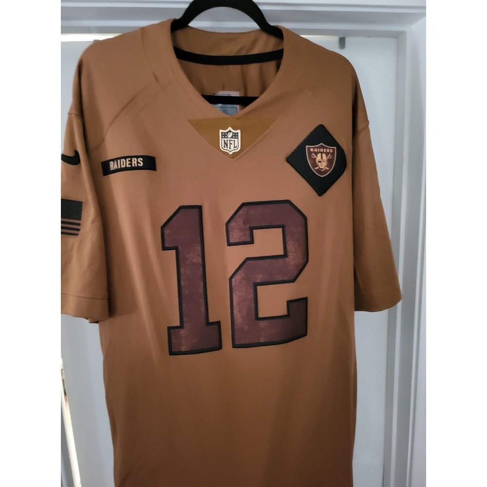 Las Vegas Raiders Ken Stabler Nike Brown 2023 Salute To Service Limited Jersey